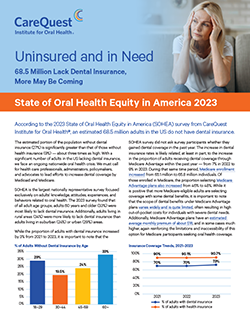 Image of report cover Uninsured and in Need